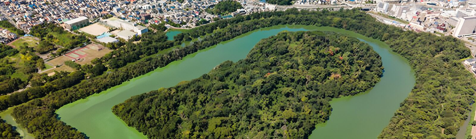 株式会社サンサン不動産